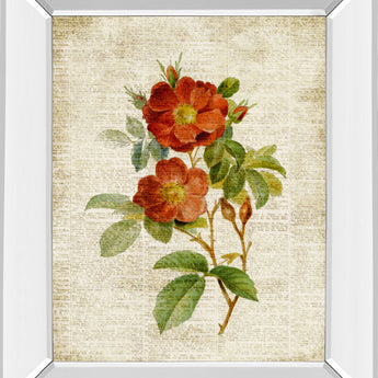 Roses On Newsprint Il By Lanie Loreth - Mirror Framed Print Wall Art - Beige