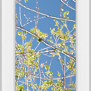 Spring Poplars IV By Sharon Chandler - Mirror Framed Print Wall Art - Light Blue