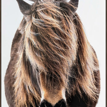 Untamed Forelock - 32 X 48 - Hand-Embellished Canvas In Frame - Brown