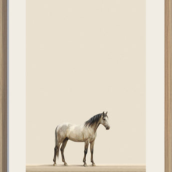 Quiet Stallion II Print on Paper In Frame - Cream / Beige