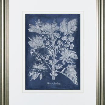34x40 Besler Leaves in Indigo II By Vision Studio - Blue