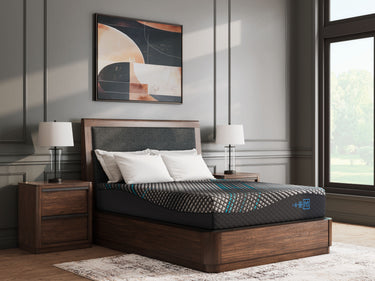 Millennium 2.0 Foam 12 Inch - Queen Mattress - Black