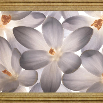 Whispering Blossom - 28" x 34" Framed Wall Art - Gray