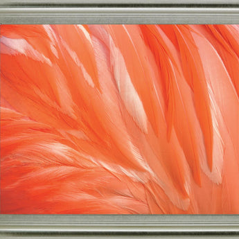 Citrus Plumage - 28" x 34" Framed Wall Art - Orange