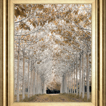 By Assaf Frank - Framed Print Wall Art - Light Brown