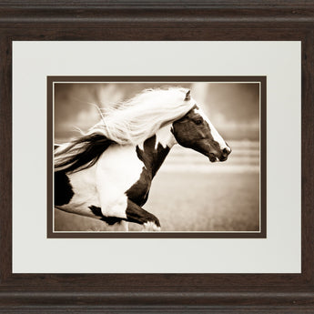 Gypsies Pride By Carol Walker - Framed Print Wall Art - Light Brown