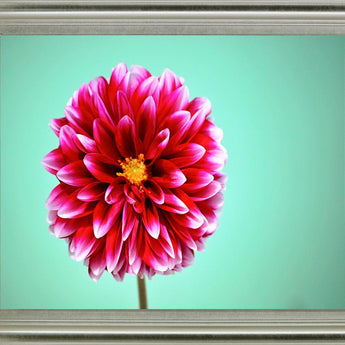 Crimson Radiance - 28" x 34" Framed Wall Art - Pink