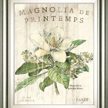 Magnolia De Printemps By Sue Schlabach - Beige