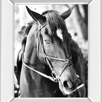 Derby I By Susan Bryant - Mirror Framed Print Wall Art - Dark Gray