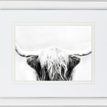 Longhorn By Danita Delimont - Dark Gray - Glass