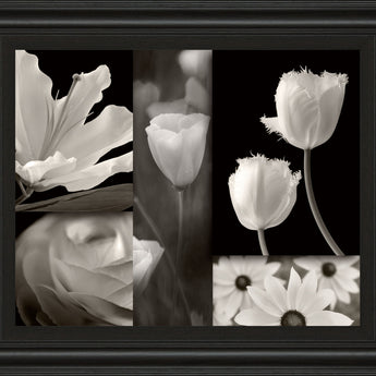 Summer Garden Il By Dennis Frates - Framed Print Wall Art - Dark Gray
