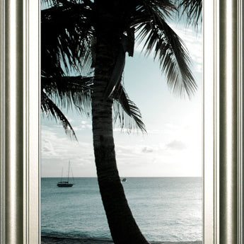 Cool Bimini Palms Il By Susan Bryant - Framed Print Wall Art - Black