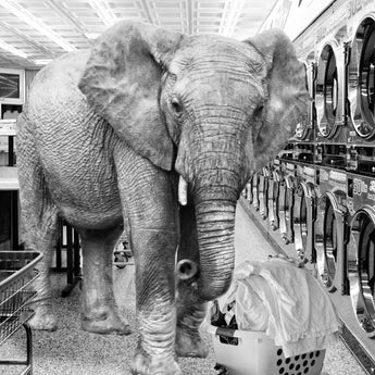 Safari Laundromat Elephant (Small) - Gray