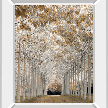 White Gold By Assaf Frank - Mirror Framed Print Wall Art - Pearl Silver
