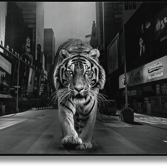 Glossy Painted Framed Canvas - Tiger Of The City - Dark Gray