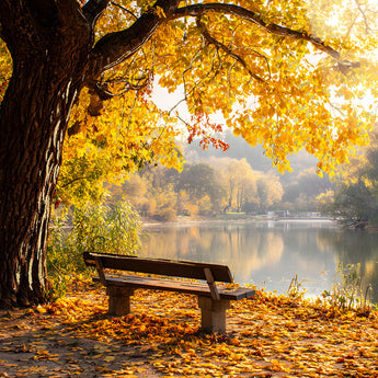 Autumn Lakeside Tempered Glass With Foil - Gold / Brown