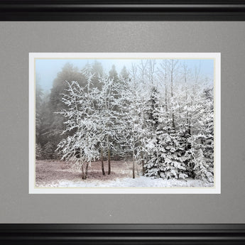 Frosty Morning By Mike Jone - Framed Print Wall Art - Gray