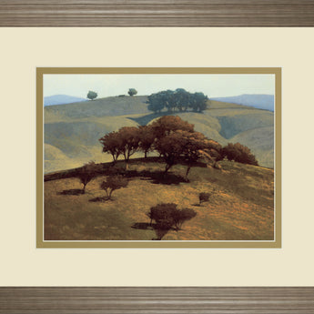Hills Near Chico By N. Bohne - Framed Print Wall Art - Light Brown
