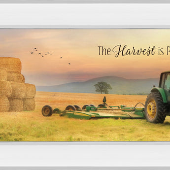 The Harvest Is Plentiful By Lori Deiter - Mirror Framed Print Wall Art - Gold
