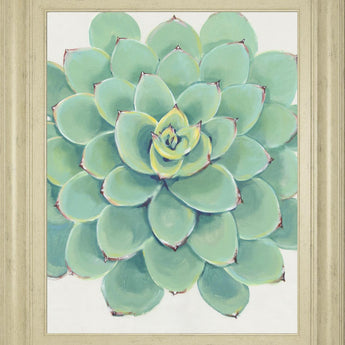 22x26 Pastel Succulent III By Tim OToole - Green