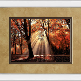 Dressed To Shine By Lars Van De Goor - Mirror Framed Print Wall Art - Red