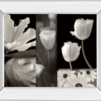Summer Garden Il By Dennis Frates - Mirror Framed Print Wall Art - Dark Gray