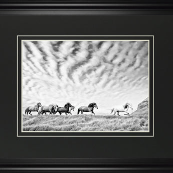 Horse Run III By PHBurchett - Pearl Silver