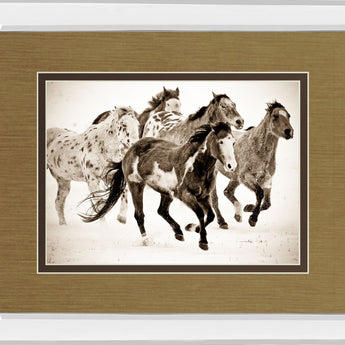 Painted Horses Run By Carol Walker - Mirror Framed Print Wall Art - Light Brown