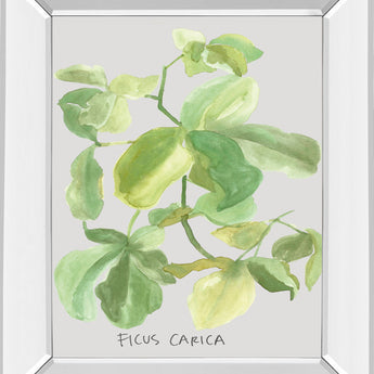 Ficus Carica By Katrien Soeffers - Mirror Framed Print Wall Art - Green