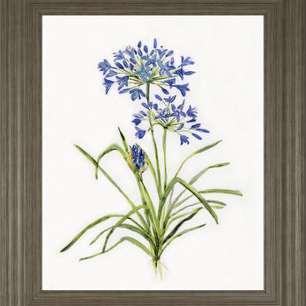 22x26 Lively Botanical I By Sally Swatland - White