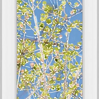 Spring Poplars Il By Sharon Chandler - Mirror Framed Print Wall Art - Light Blue