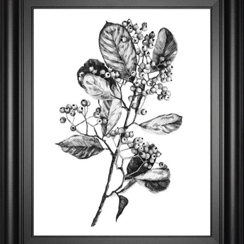 22x26 Hawthorn Berry Branch I By Emma Scarvey - White