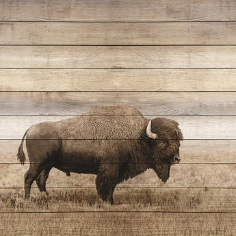 Rustic Bison By Amber Sterling (Small) - Light Brown