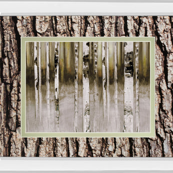 Fern Creek By Susan Jill Double Matted - Mirrored Framed Wall Art - Light Brown