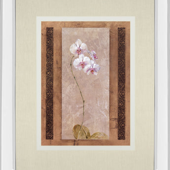 Contemporary Orchid I By Carney - Mirror Framed Print Wall Art - Pink