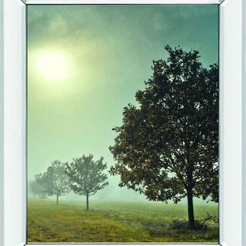 It's A New Day By Frank, A - Mirror Framed Print Wall Art - Green