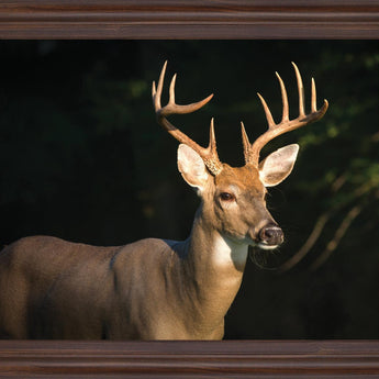 Forest Sentinel - 28" x 34" Framed Wall Art - Dark Brown