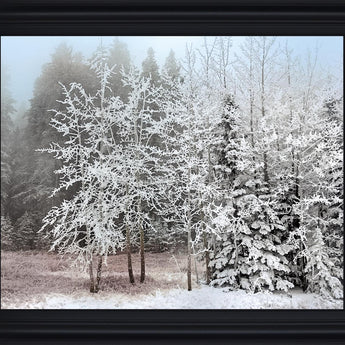 Silent Frosted Grove - 28" x 34" Framed Wall Art - Dark Gray