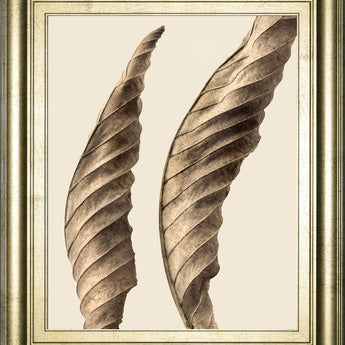 Turning Leaves I By Jeff Friesen - Framed Print Wall Art - Dark Brown