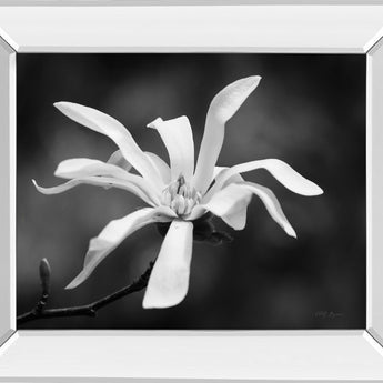 Magnolia Dreams I By Geyman Vitaly - Mirror Framed Print Wall Art - Dark Gray