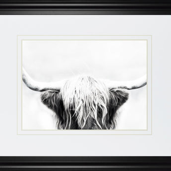 34x40 Longhorn By Danita Delimont - Dark Gray