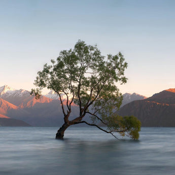 Solitary Dawn Reflection - 40" x 60" Framed Wall Art - Blue