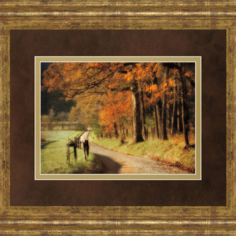 Autumns Morning Light By D. Burt - Framed Print Wall Art - Orange