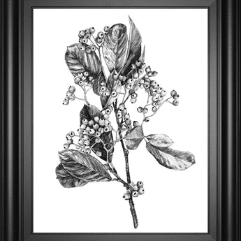 22x26 Hawthorn Berry Branch II By Emma Scarvey - White
