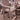 Seacliff Beach - Medium Brown - Barstool (Set of 2)