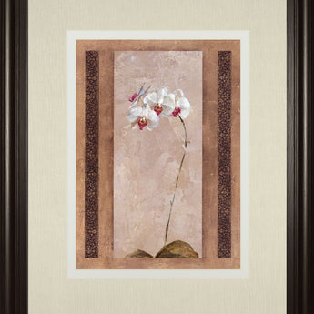 Contemporary Orchid Il By Carney - Framed Print Wall Art - Pink