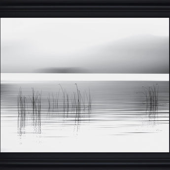 Whispering Reeds - 28" x 34" Framed Wall Art - Gray