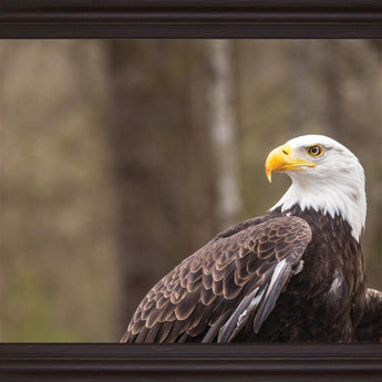 Stoic Watcher - 28" x 34" Framed Wall Art - Dark Brown