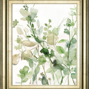 Sage Garden II By Carol Robinson - Framed Print Wall Art - Green