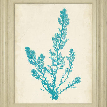 22x26 Aquamarine Seaweed VI By Vision Studio - Light Blue